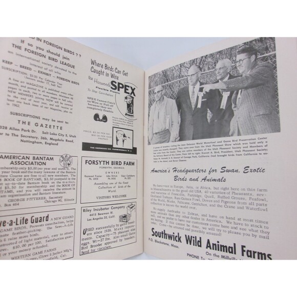 Vintage Game Bird Breeders Pheasant Fanciers Gazette Magazine November 1961 - Picture 2 of 4